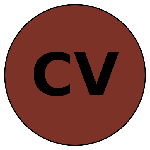 CareerVirtuoso
